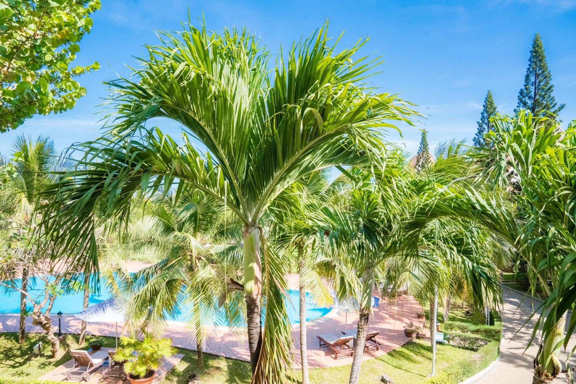 Lotus Vung Tau Resort & Spa מראה חיצוני תמונה